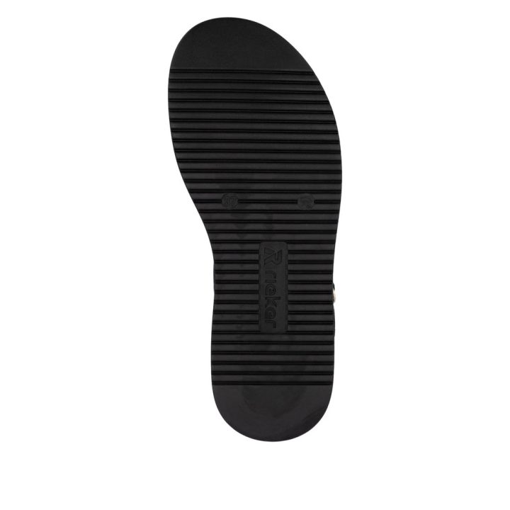 W0853-00-125-g1