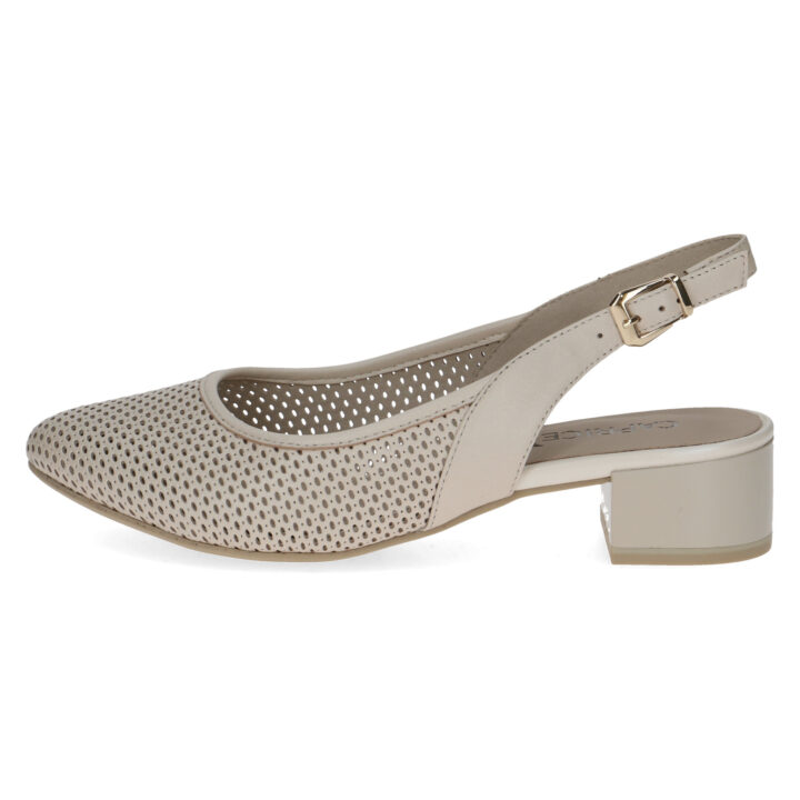 009-29602-44-404-270